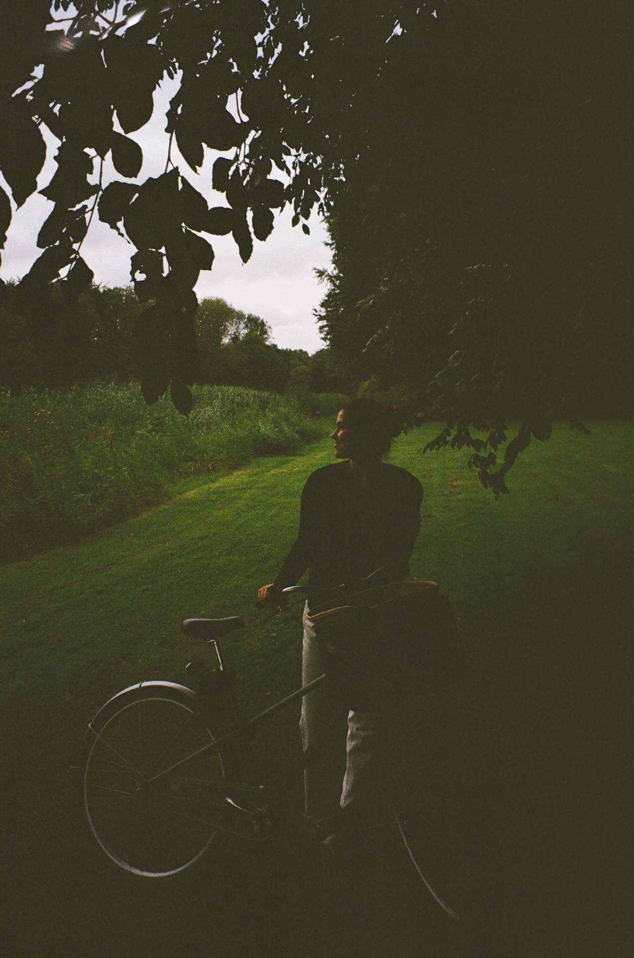 Founder walking a bicycle through a quiet green field